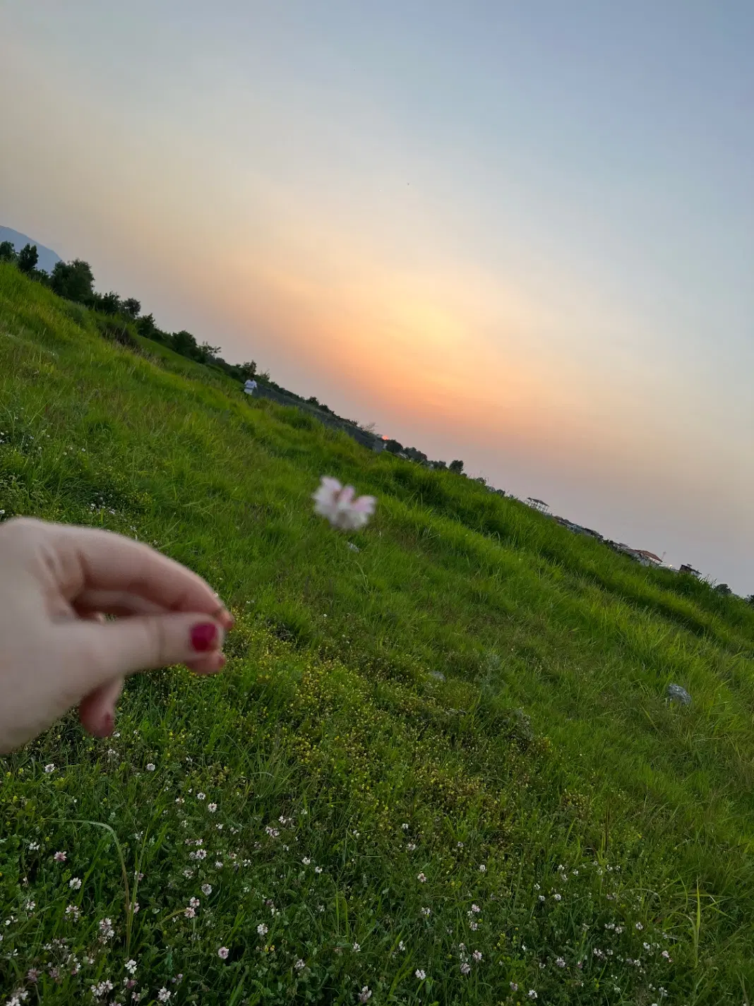 فروش زمین