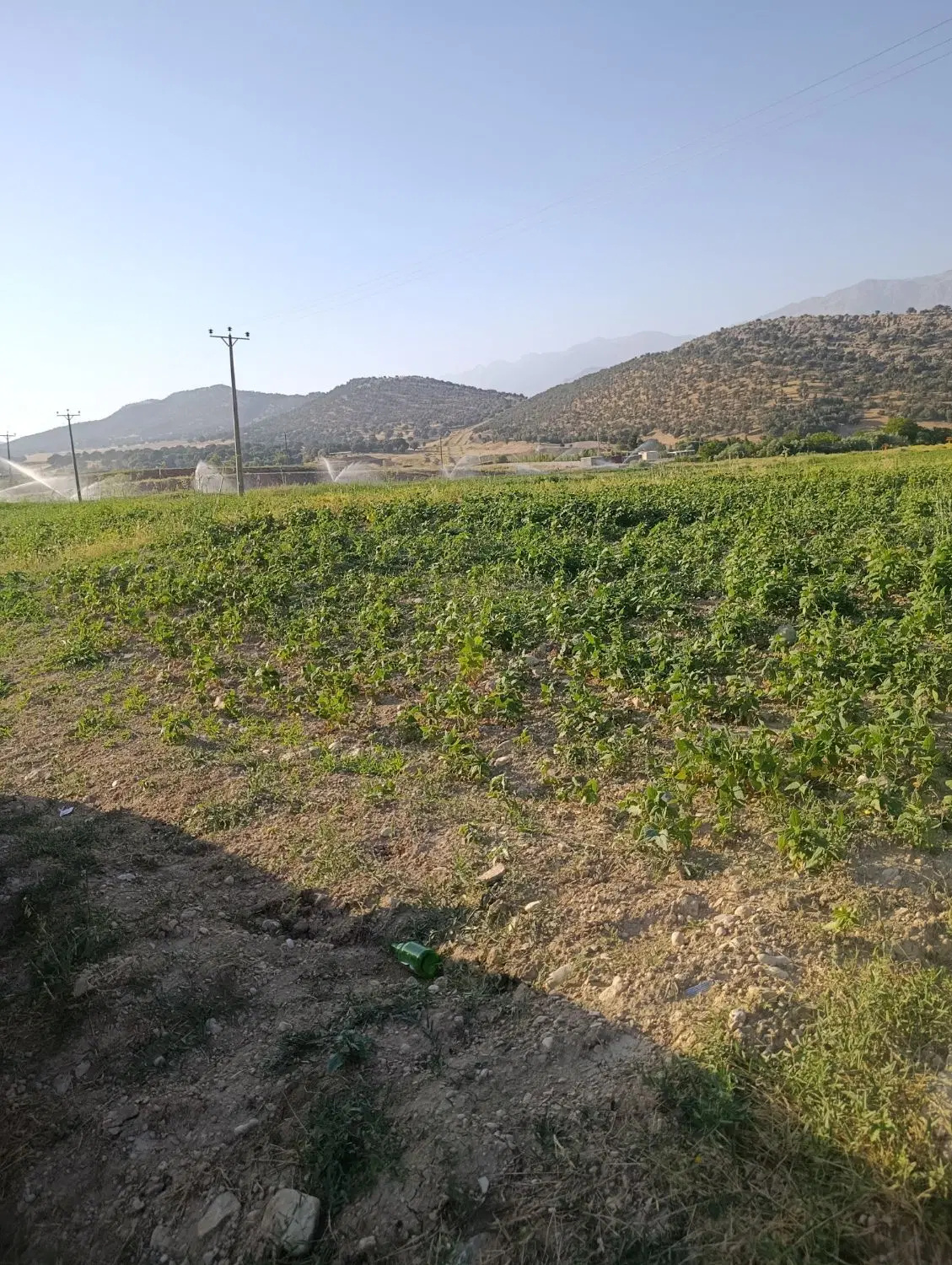 فروشی