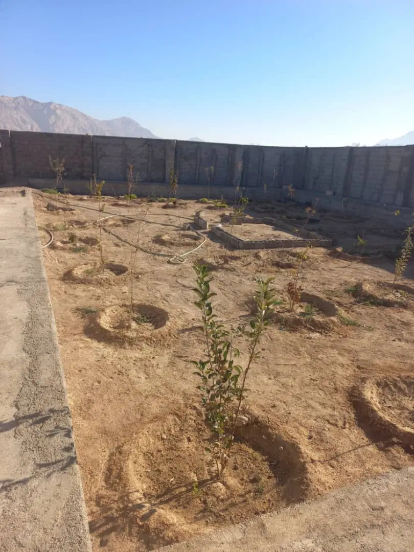 زمین وباغچه نیمه ساز
