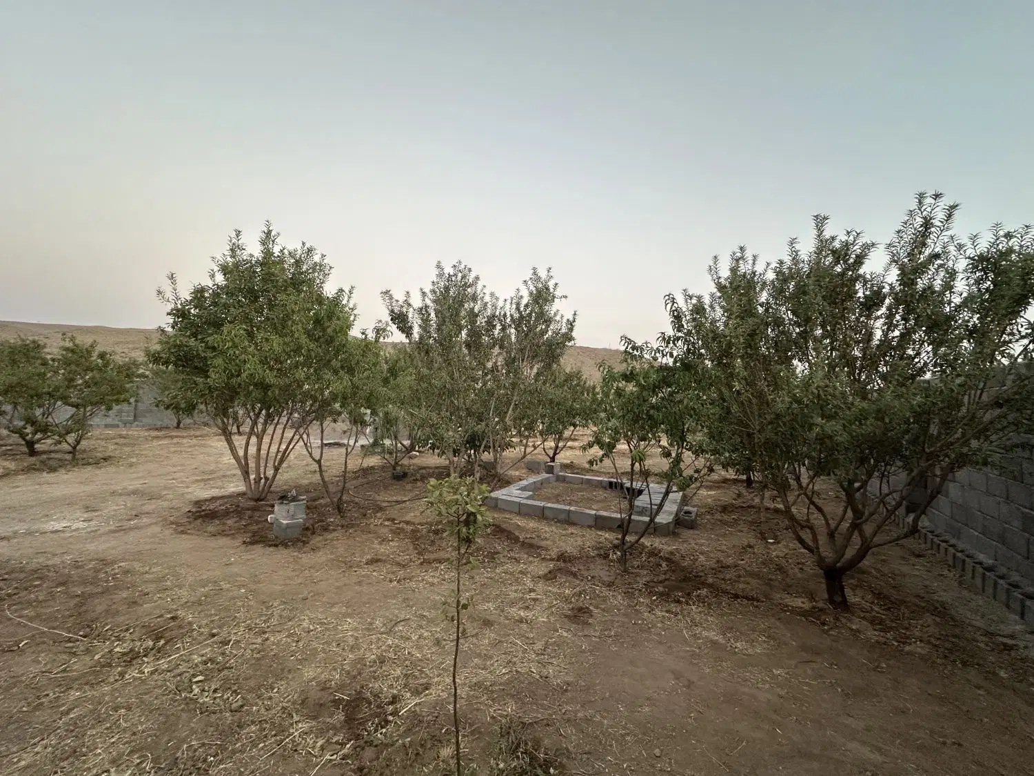 باغچه امامزاده قیطانیه