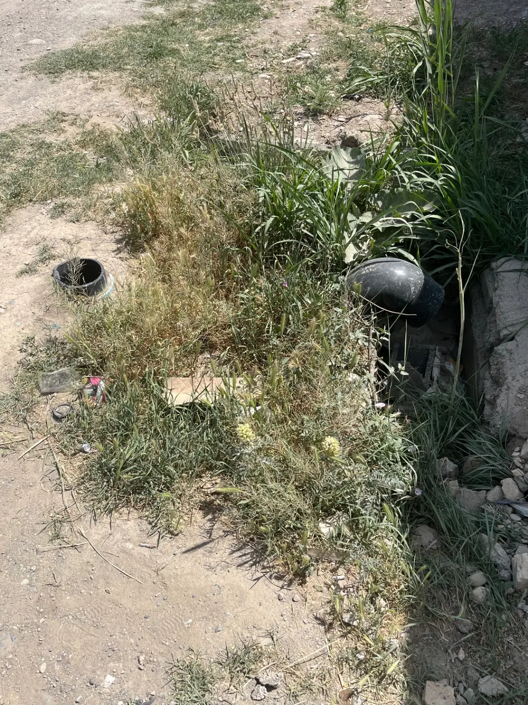 باغچه