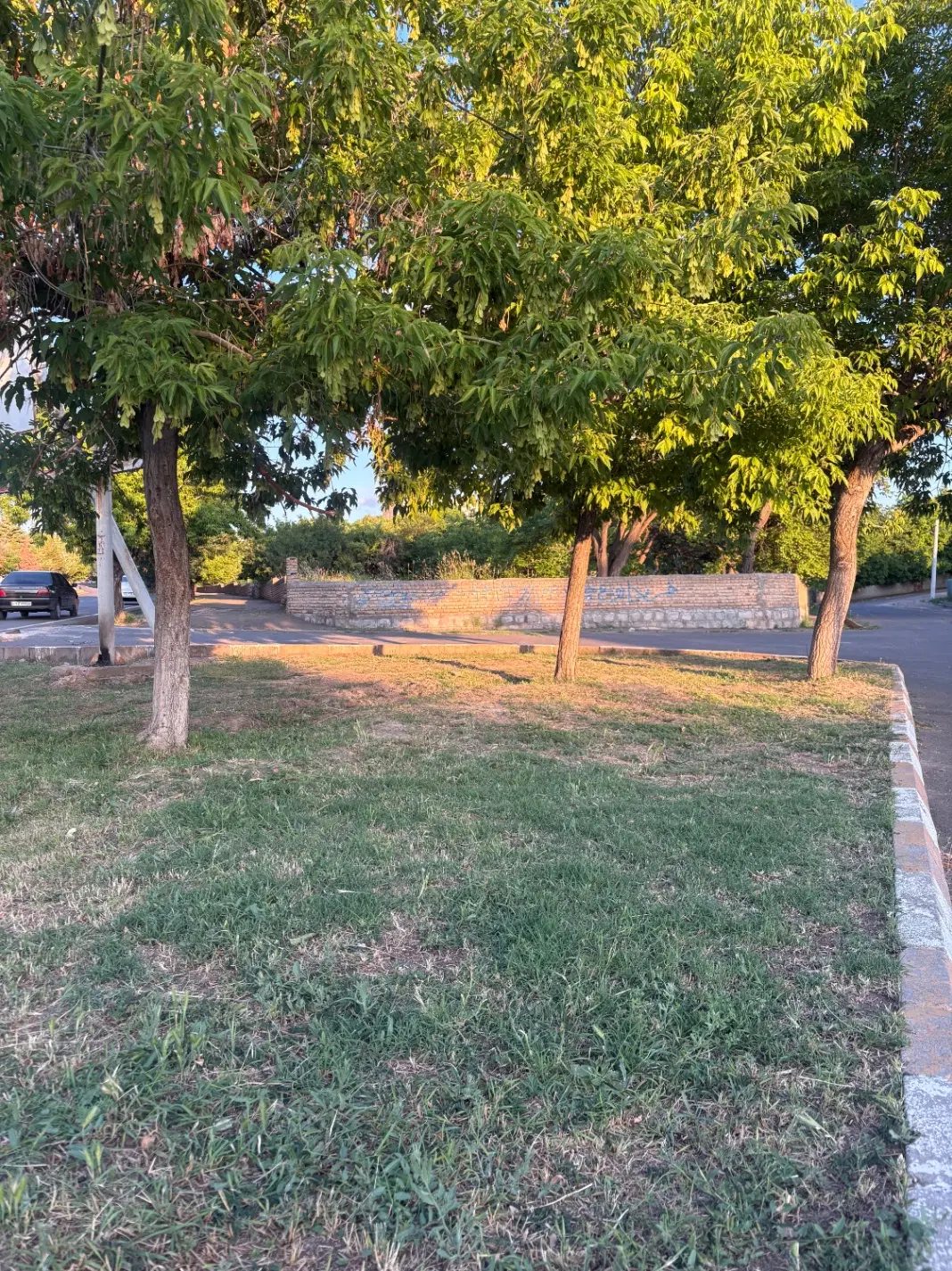 باغ روبه روی تالار