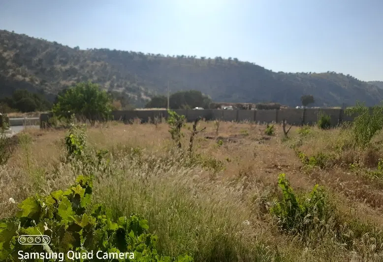 زمین باغ تجاری یاسوج