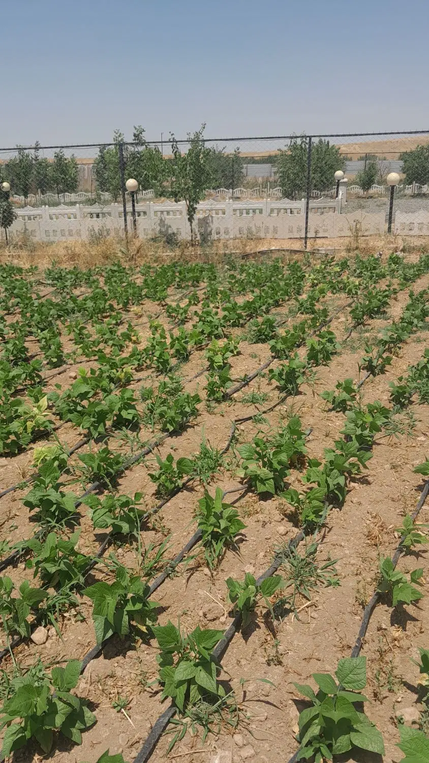 فروش زمین خانه باغ بهترین موقعیت سندثبتی