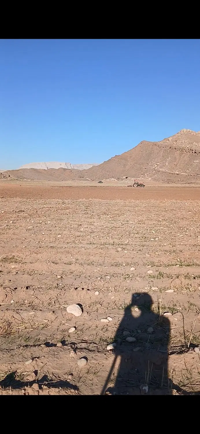 اجاره زمین کشاورزی