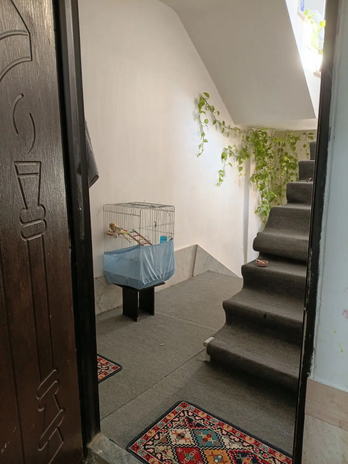 اجاره خانه اپارتمان