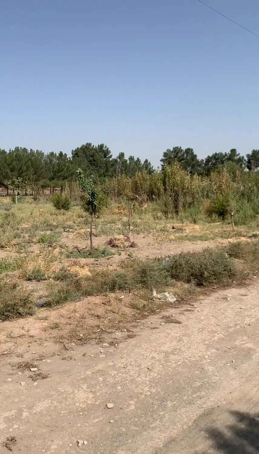 زمین باغی (بافت صنعتی)