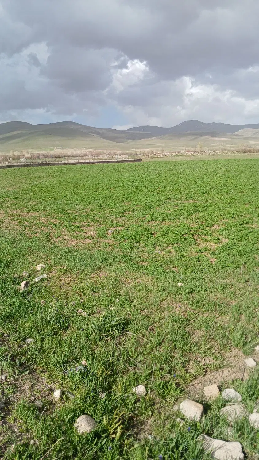 زمین در روستای النجق.مرند