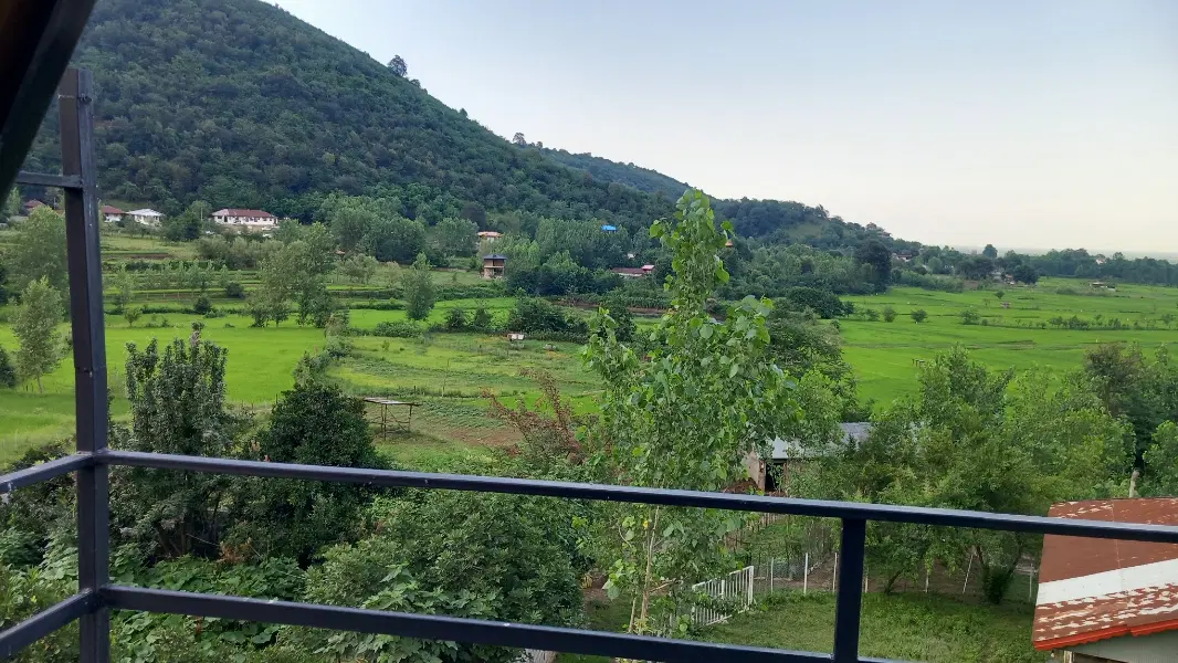 ۱۴۰۰ متر شالیزار چسب مسکونی