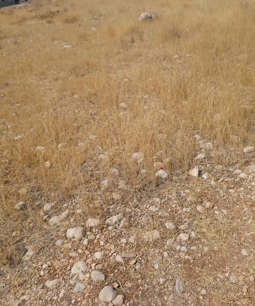 زمین پشت گر