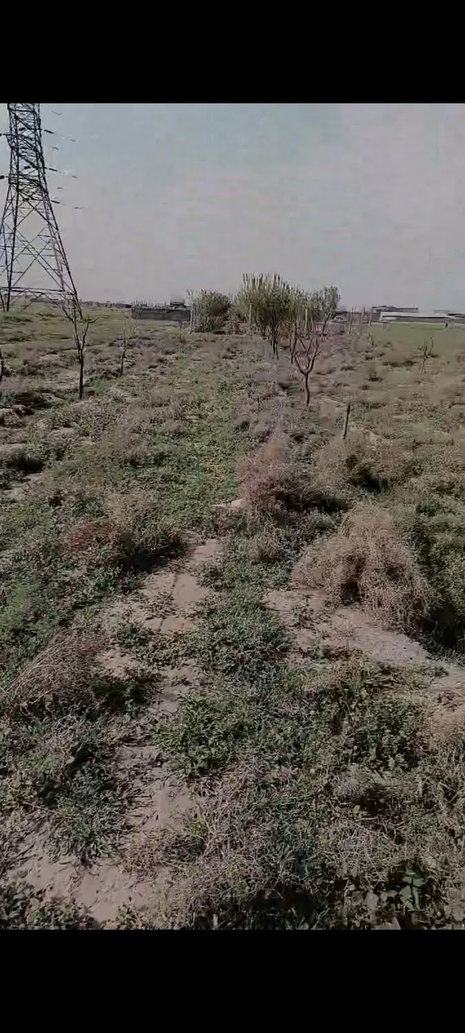 زمین 600متری