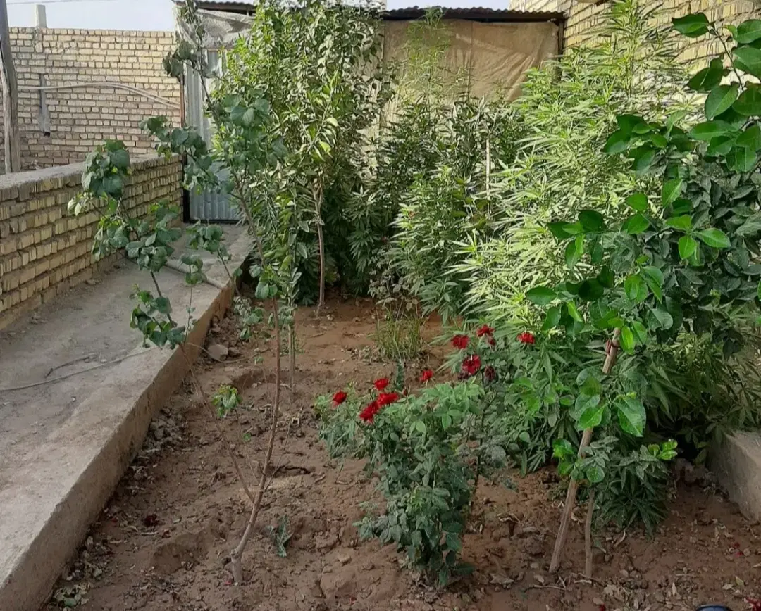 خونه باغ فروشی
