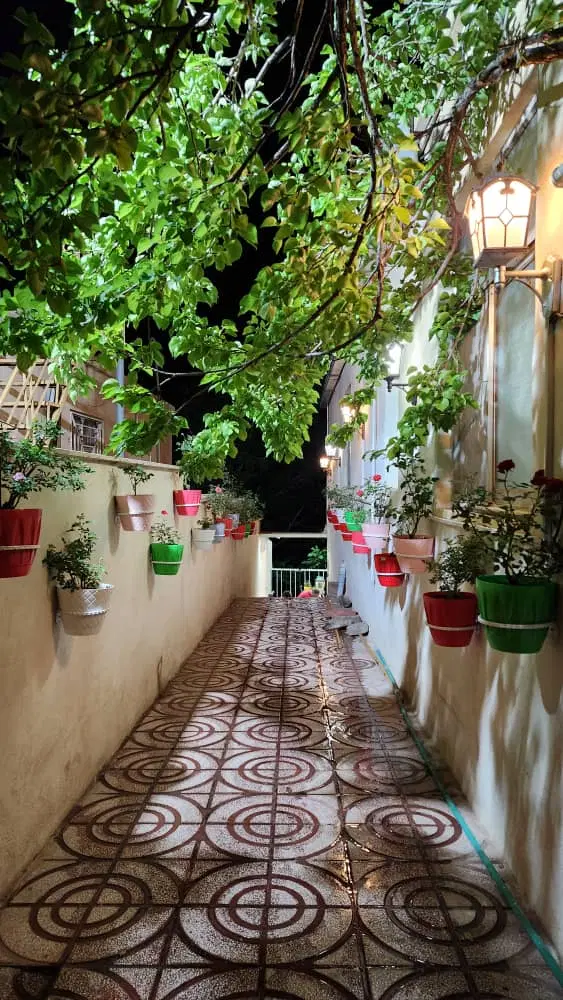 نیازمند همخونه