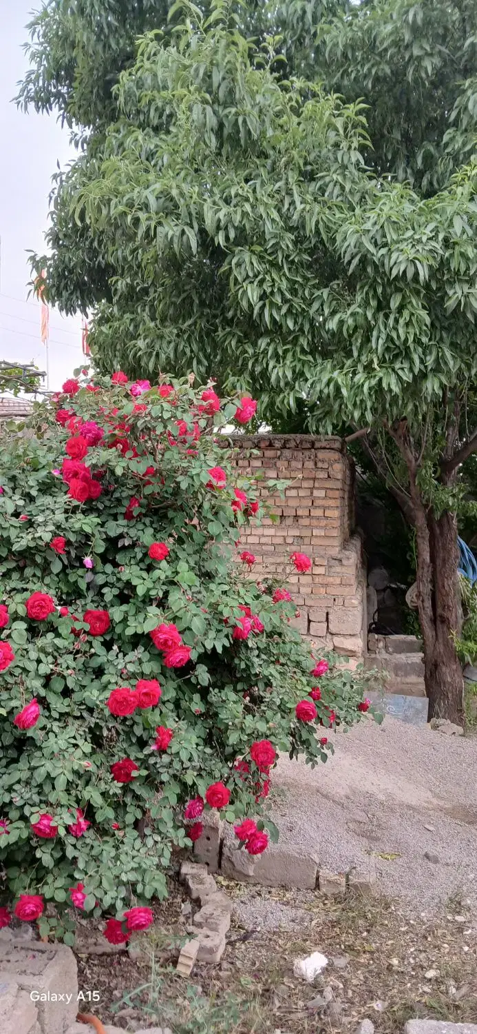 خانه ویلایی