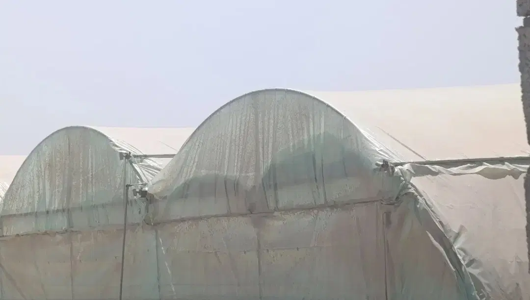 گلخونه اجاره ای