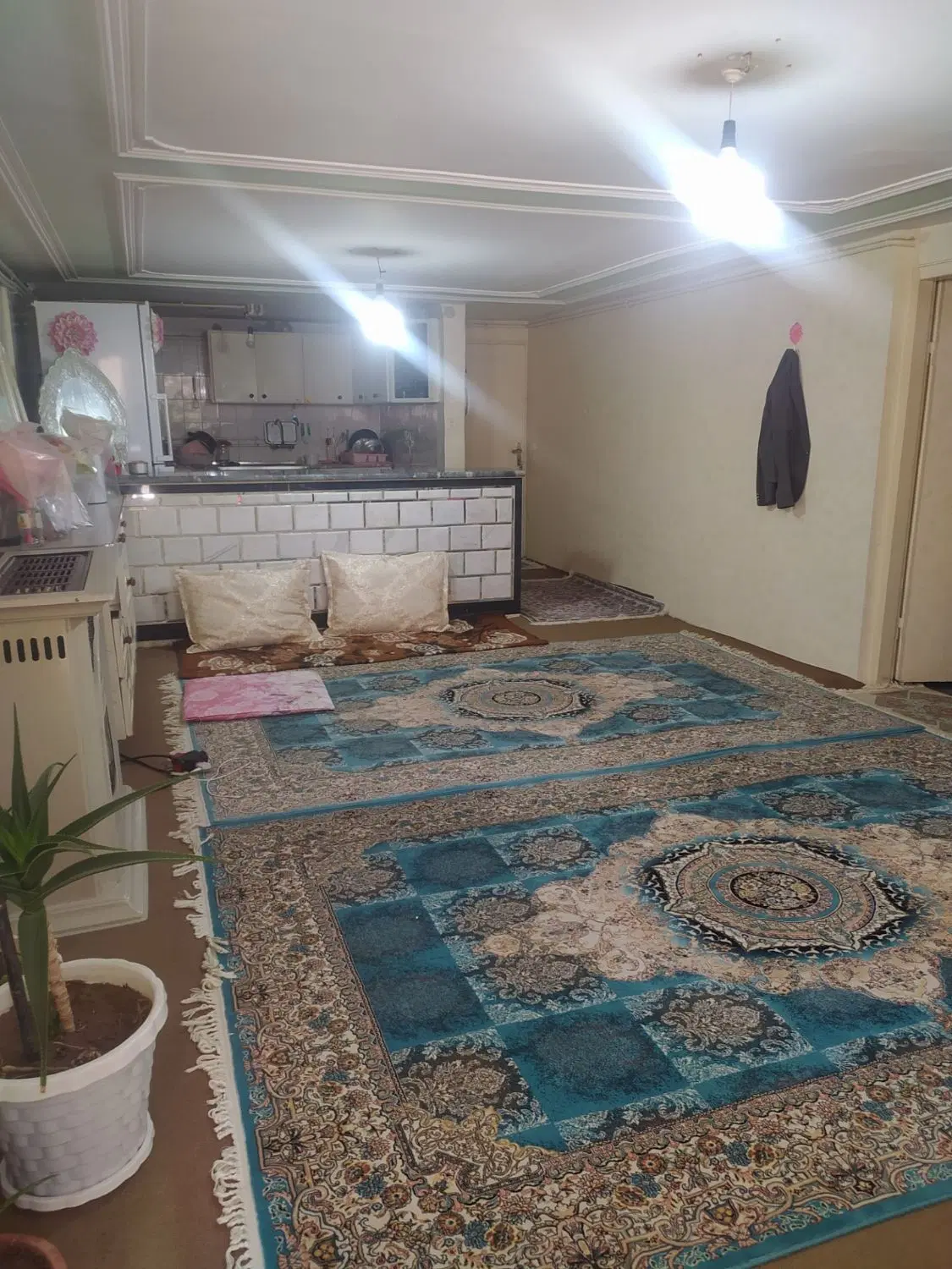 رهن و اجاره زیرزمین در دامپزشکی