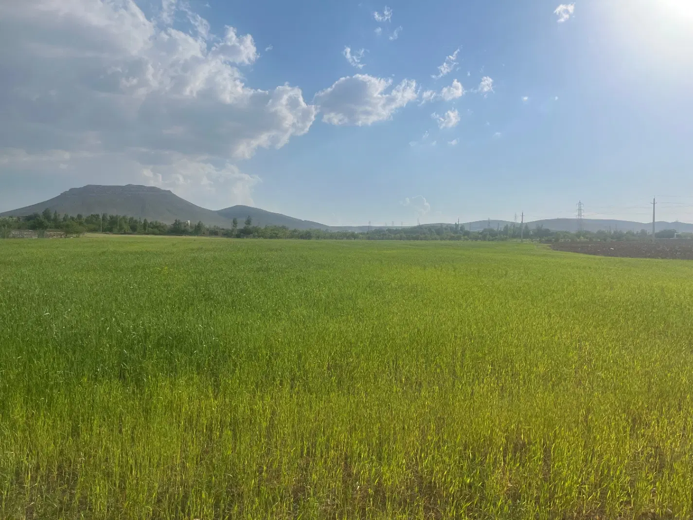 فروش زمین کشاورزی حلوایی جاده بیجار دیواندره