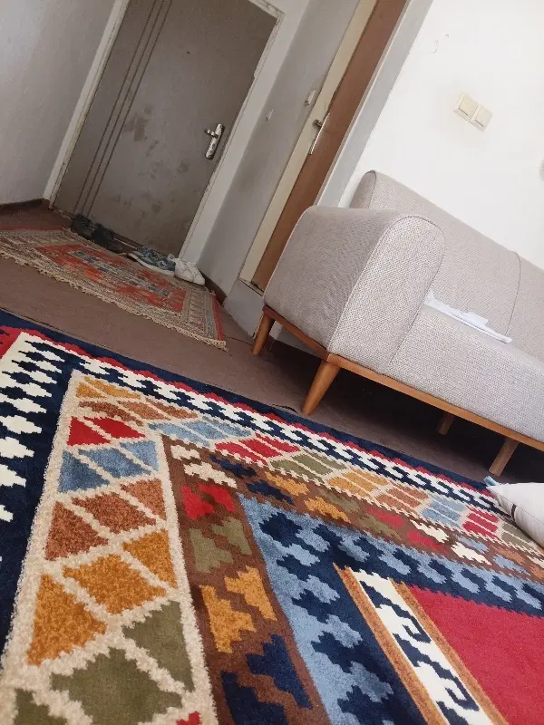 نیازمند هم خانه صدرا