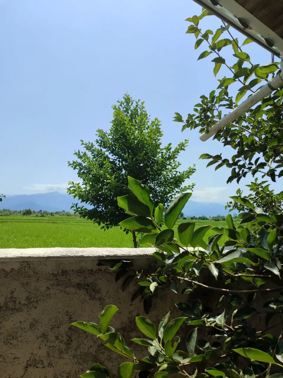 خانه ویلایی