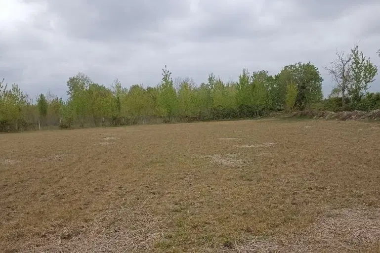 زمین با مجوز سردخانه و جعبه سازی پوره