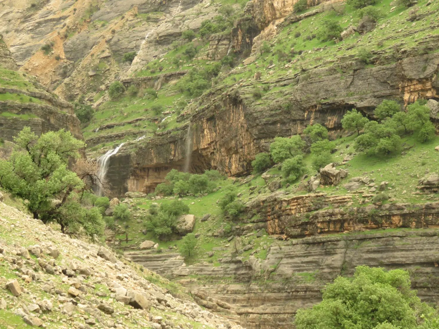ویلا باغ بخش الوار