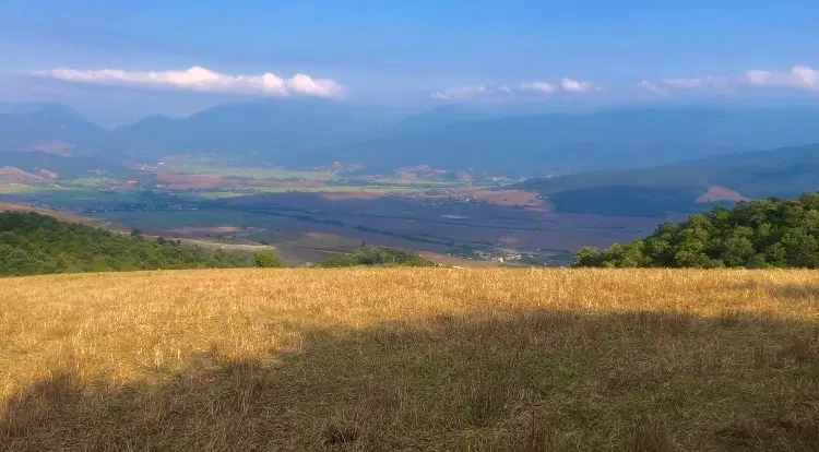 30000متر زمین واقع در دودانگه روستای تلاوک