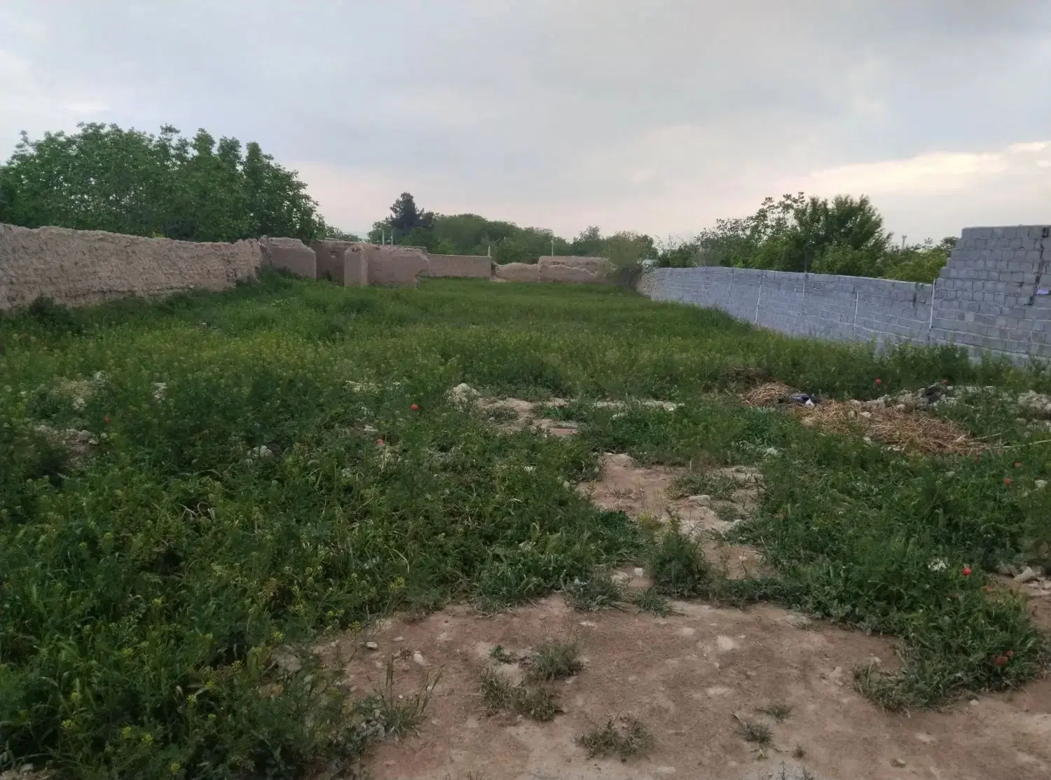 فروش یک قطعه زمین واقع در روستای باغان