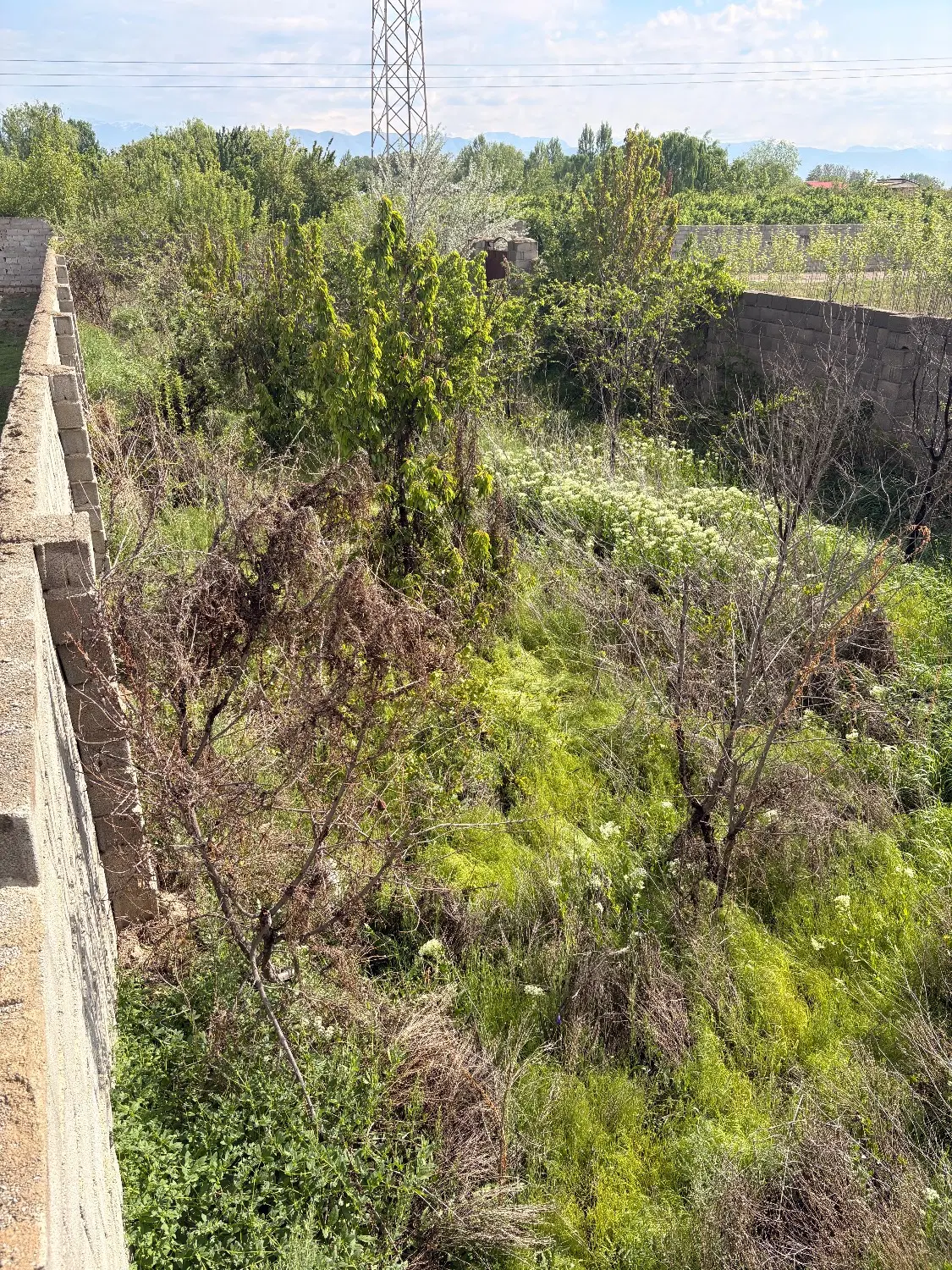 هزار متر زمین