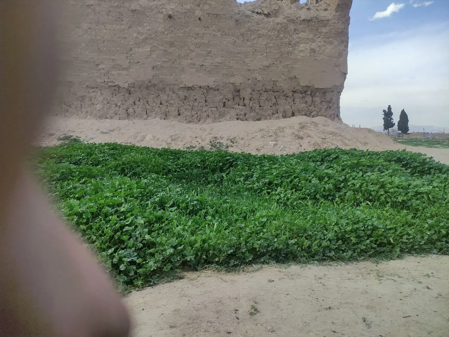 زمین کشاورزی در روستای دوان