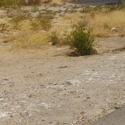 فروش زمین مسکونی
