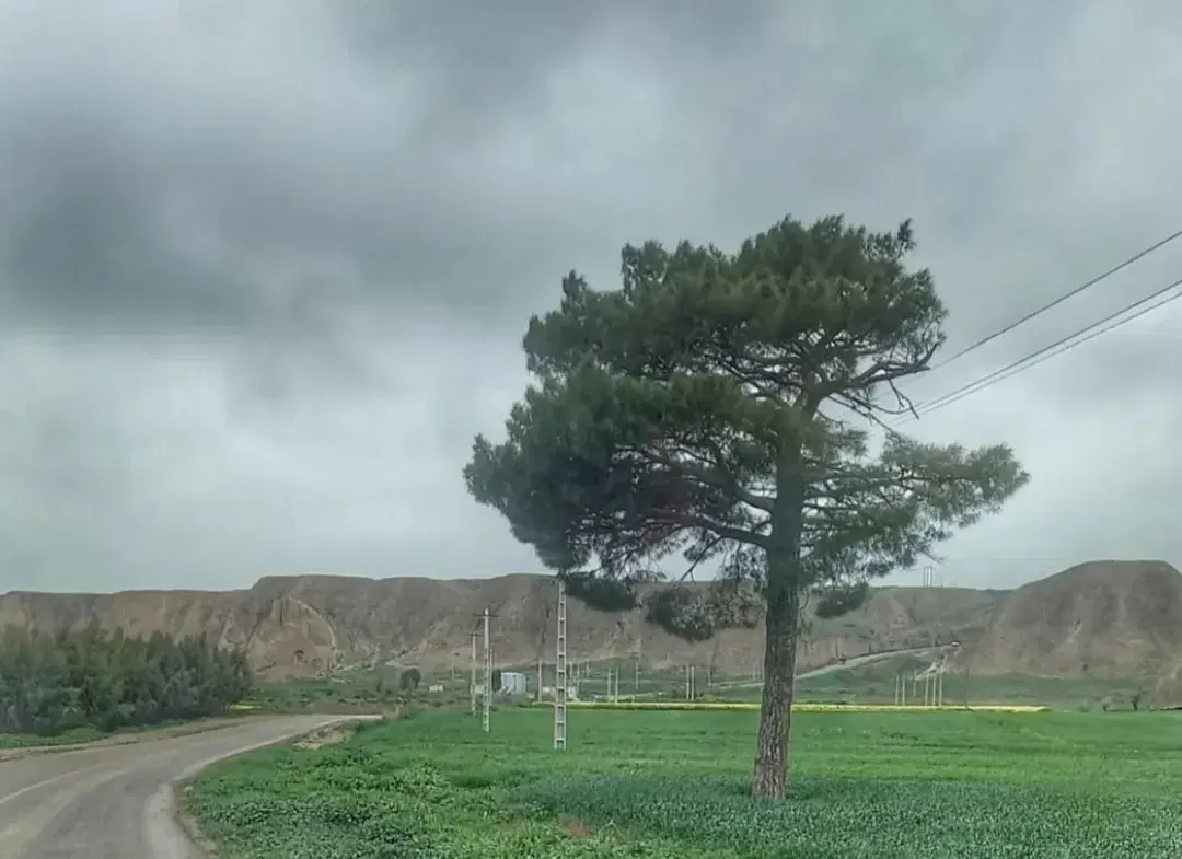 فروش زمین مسکونی تجاری در خواجه نفس