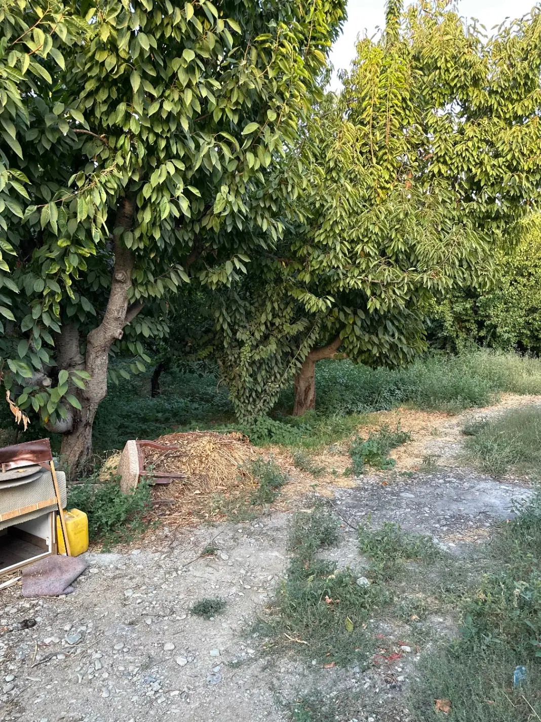 360متر باغچه
