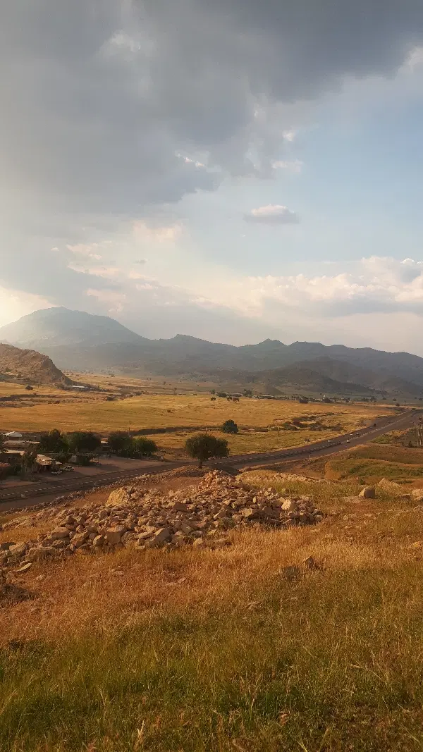 زمین