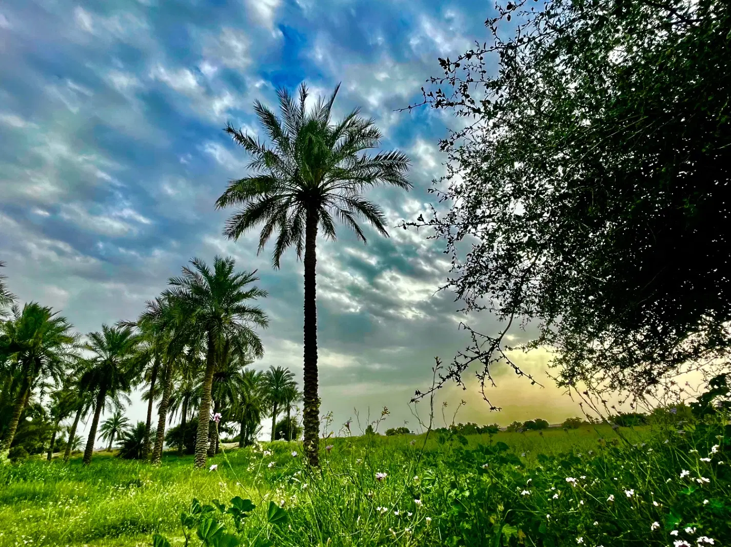 زمین گلستان ۱