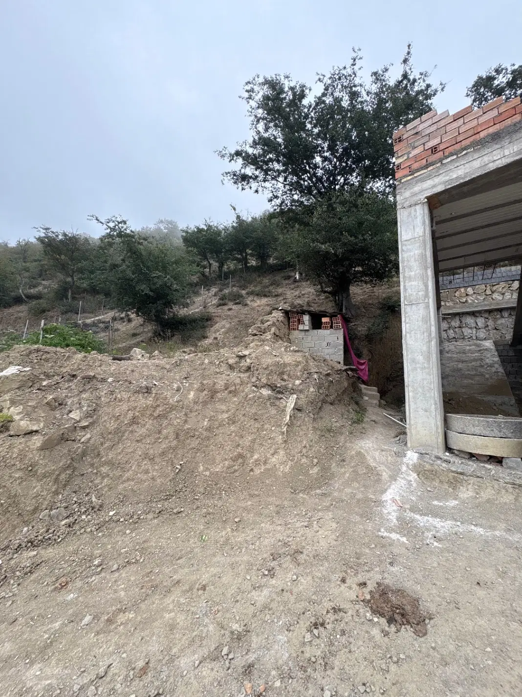 زمین