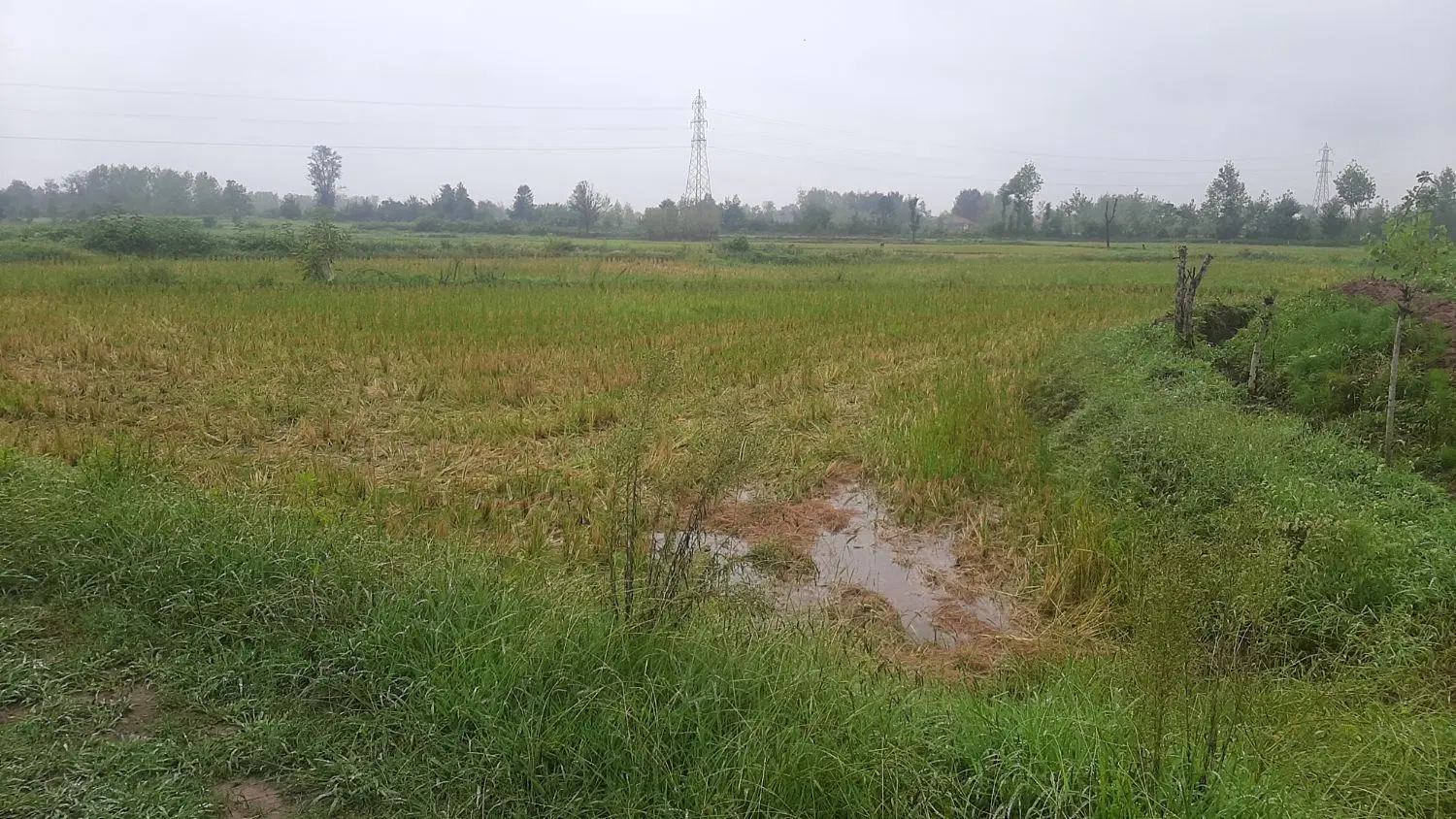 زمین مسکونی وکشاورزی