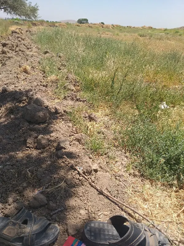 فروش زمین مسکن سازی در نصیرکندی