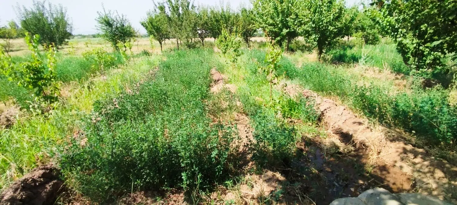 فروش زمین