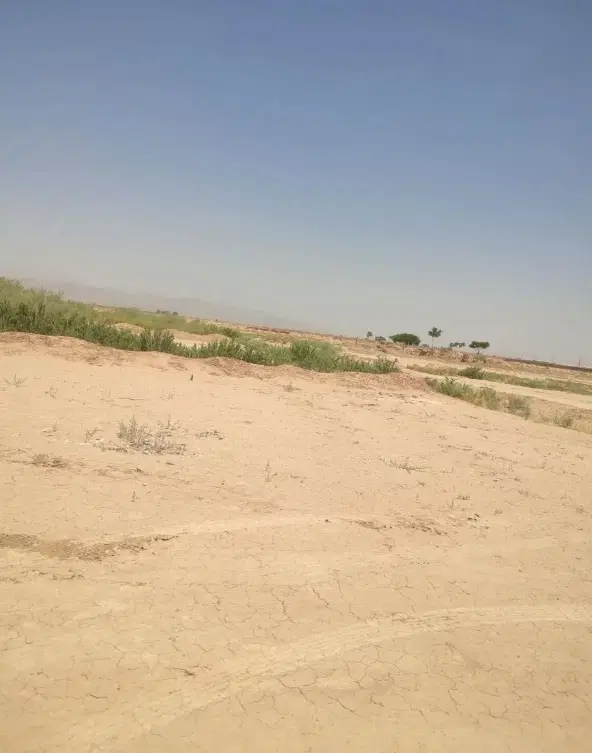 اگهی فروش ۴۰ قصب زمین