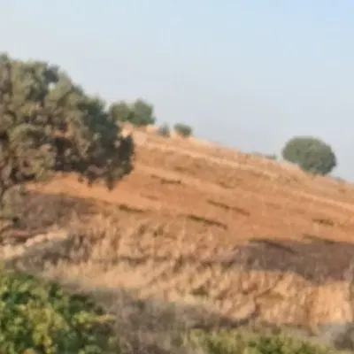 ۲۵۰۰زمین دیوارکشی
