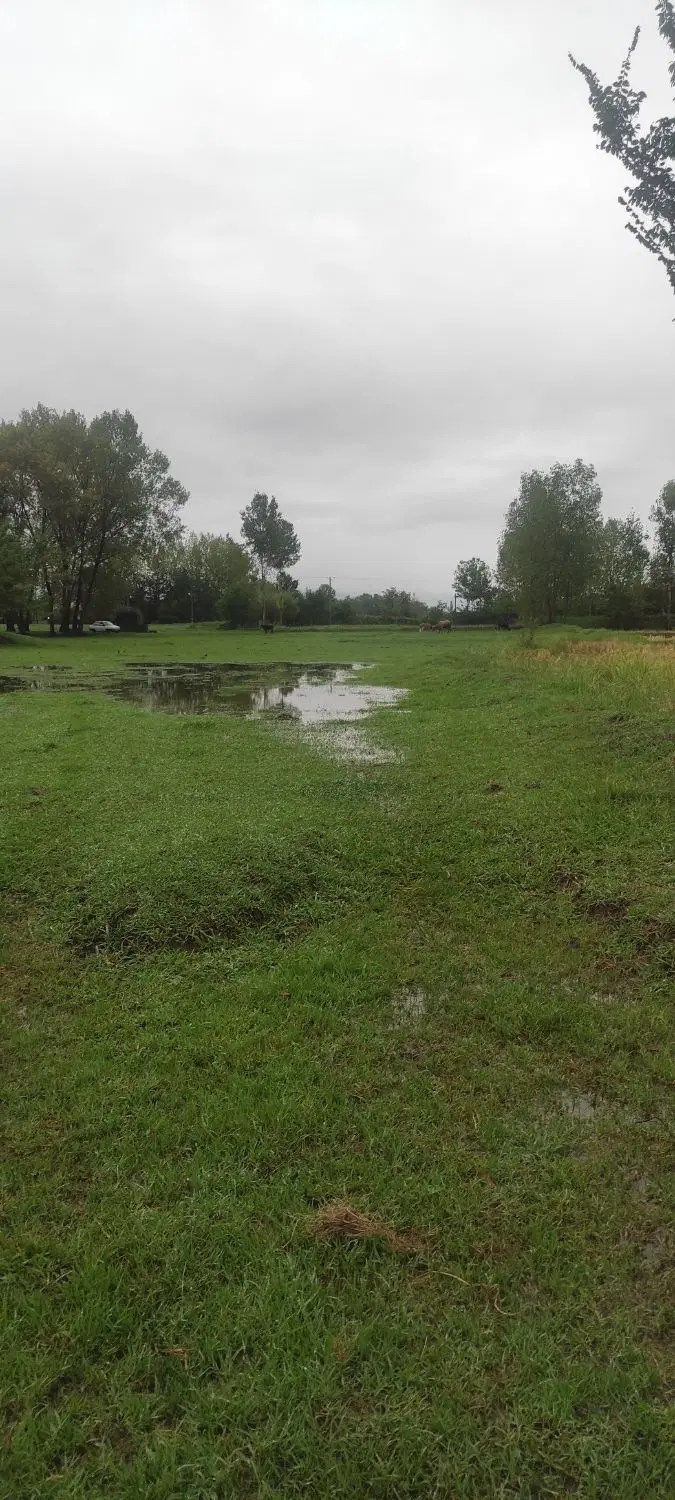 زمین 250متری