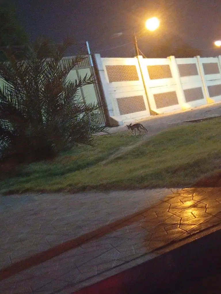 آپارتمان مرکز شهر