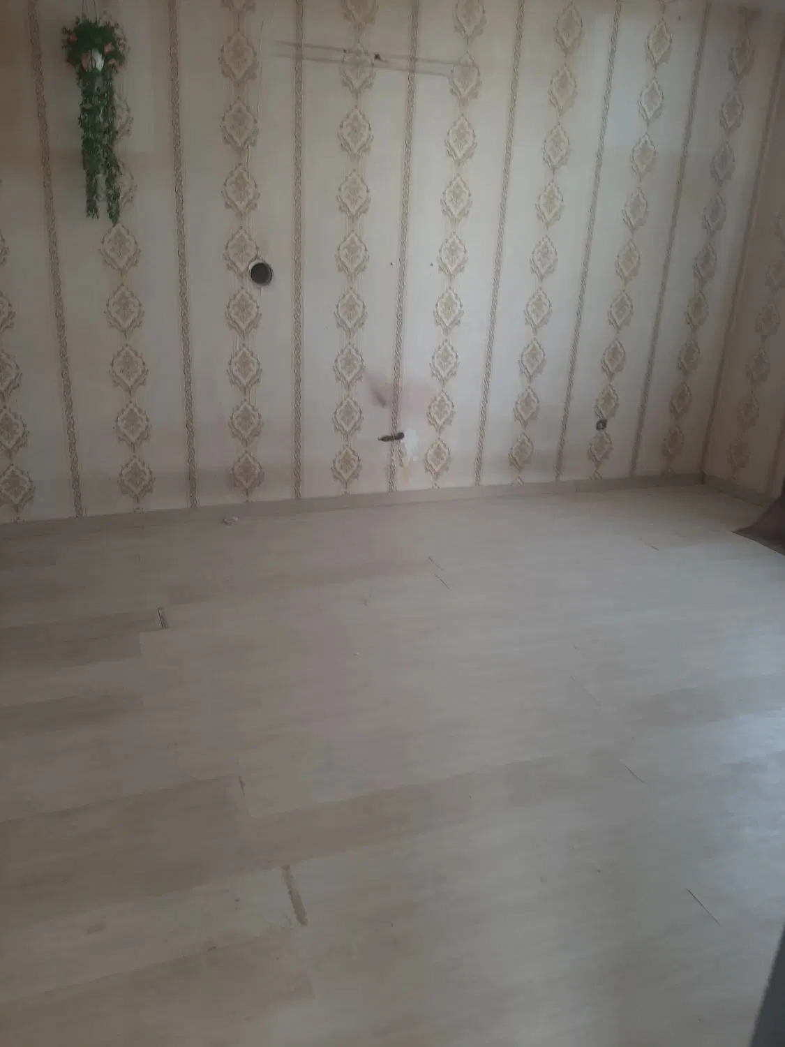 اجاره یک واحد اپارتمانی با صحنه حیات