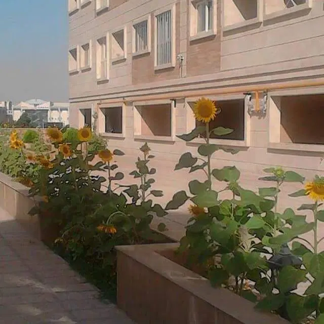 53 متری فقط معاوضه با  مشابه تهرانپارس غربی