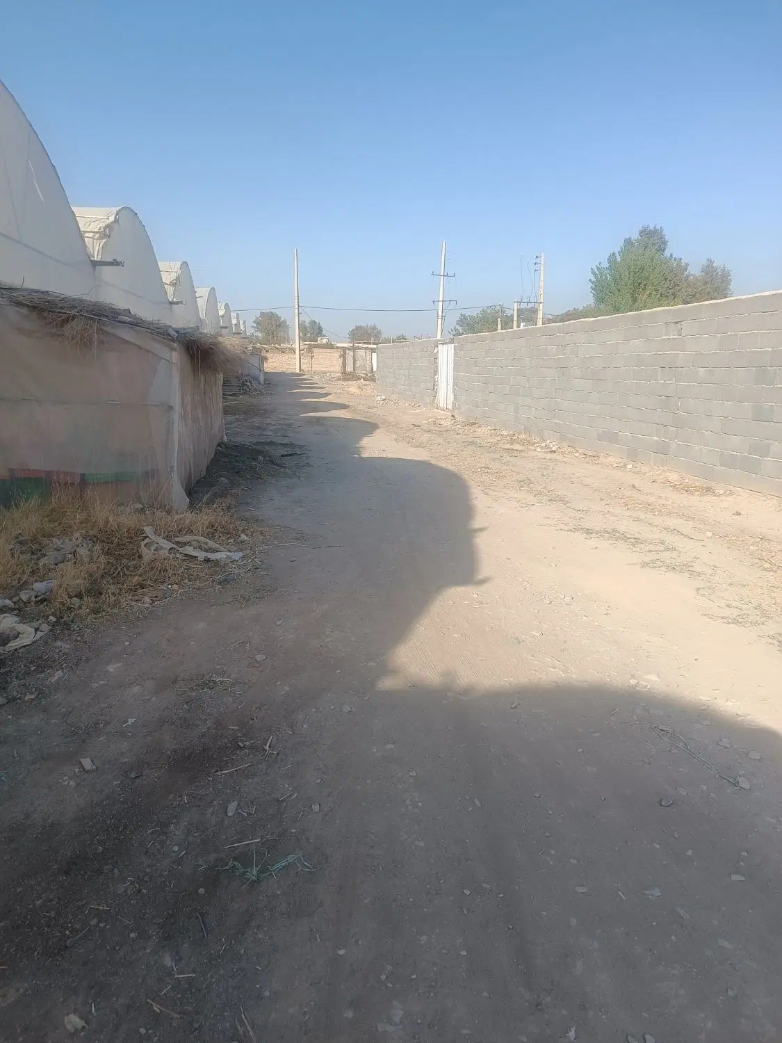 زمین باغ باغچه