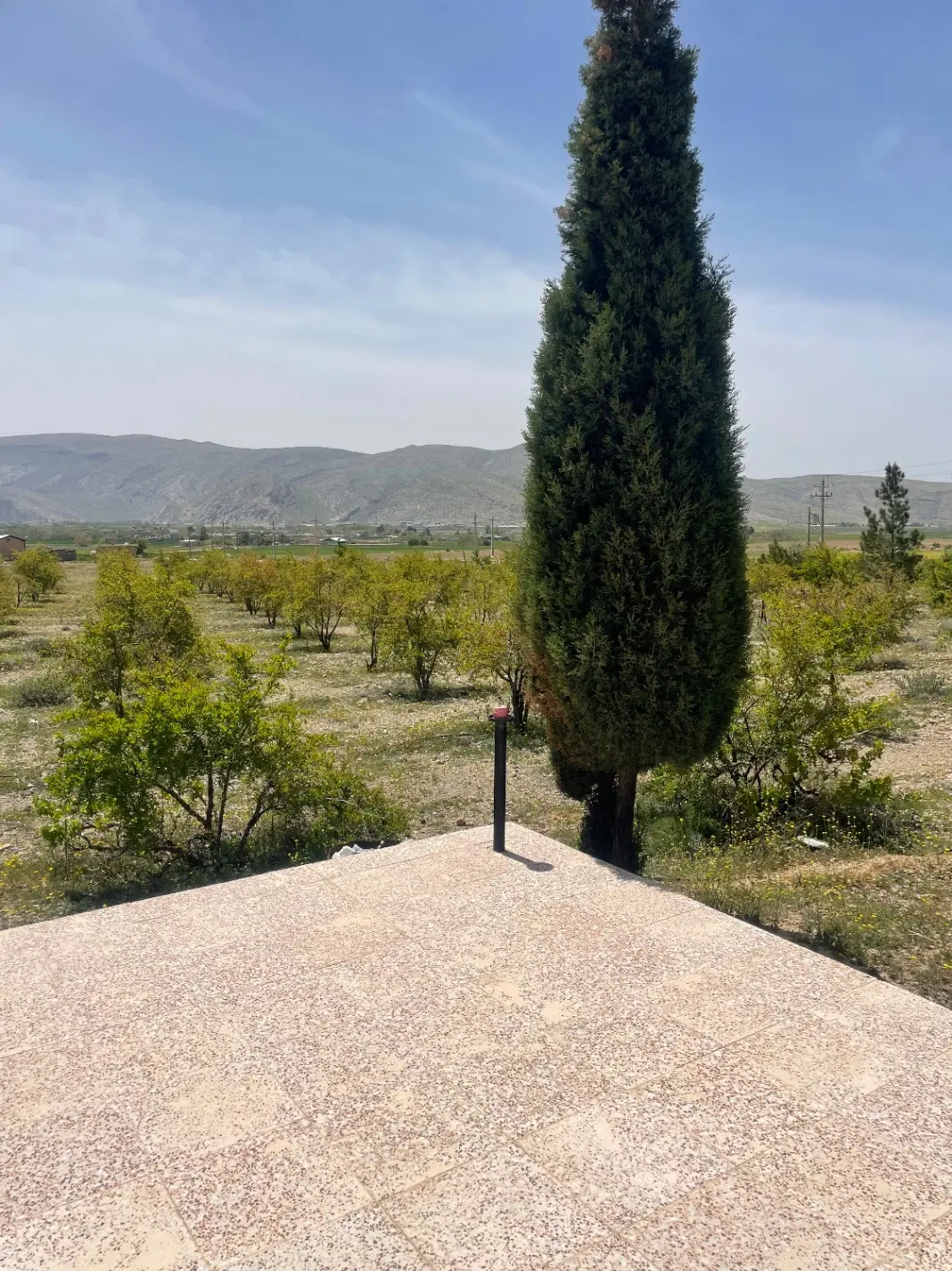 زمین باغی کلی و جزئی فروش