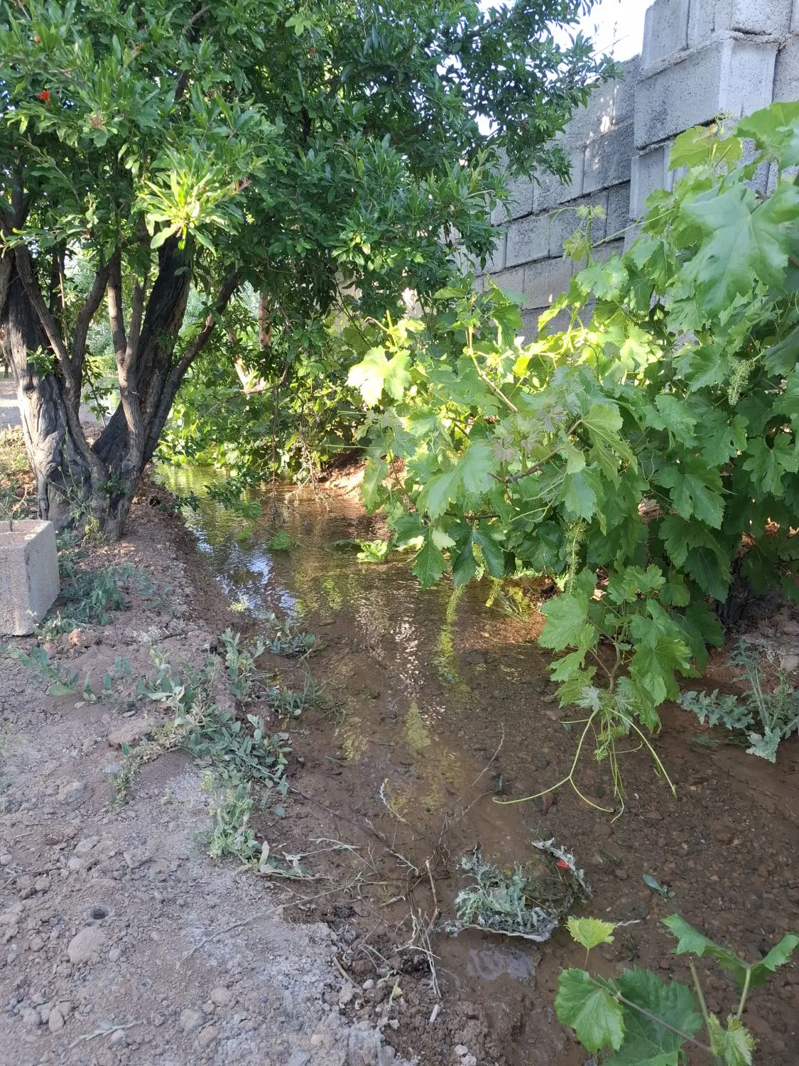 بیا معاوضه کنیم