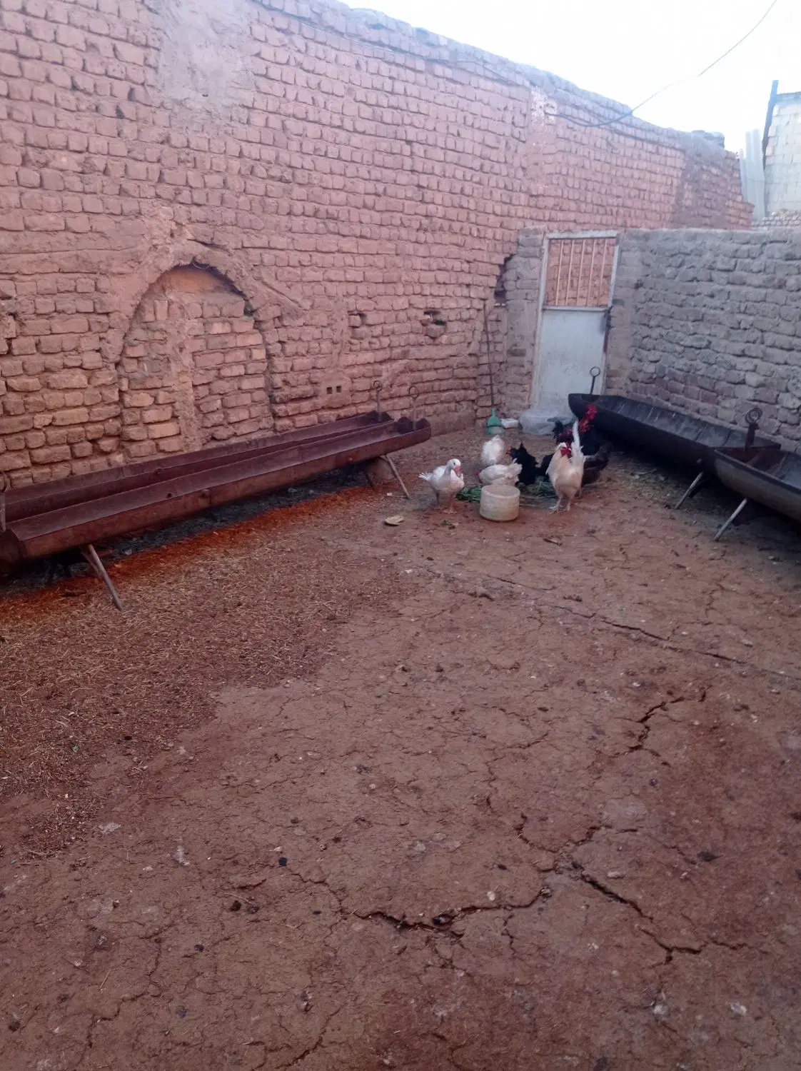 مغازه اجاره ای باحیاط