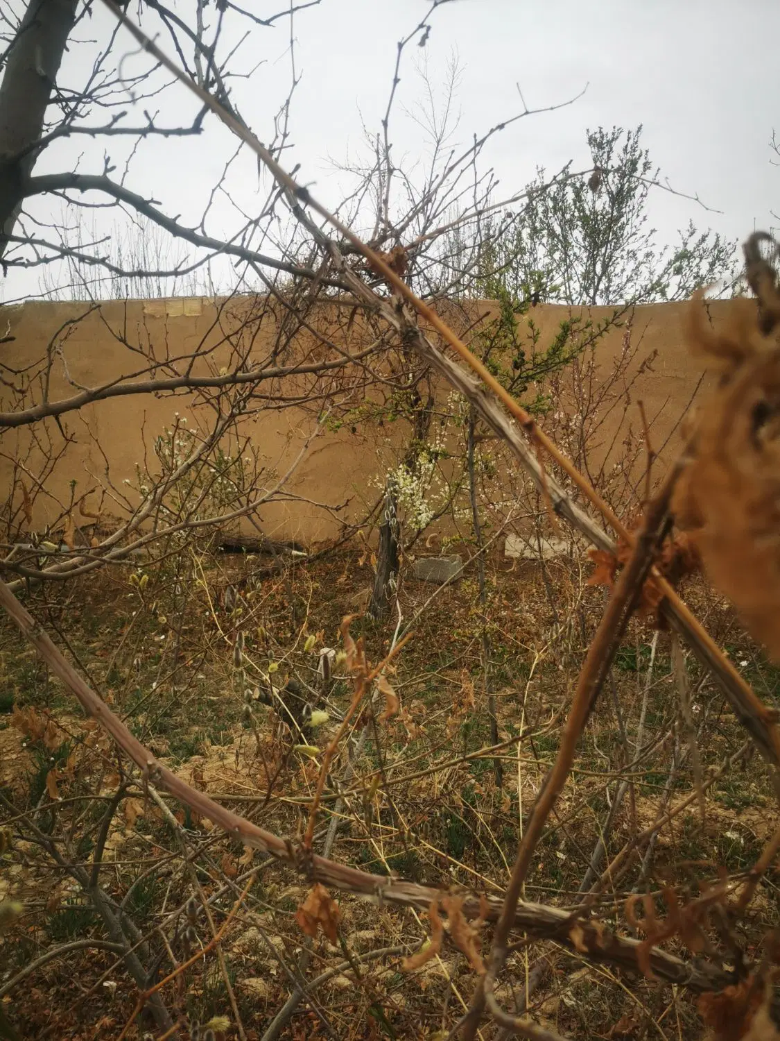 زمین فاز 2 سپاهان شهر