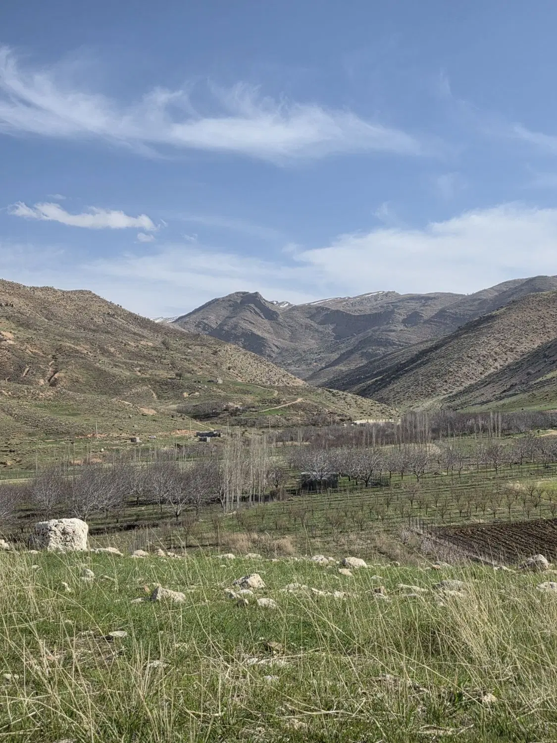 فروش  زمین در  آزادگان  پتروشیمی  گچساران